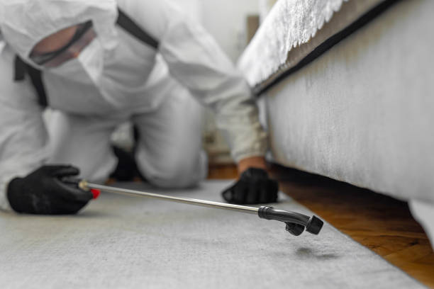 Professional Termite Control technician working in Riverside, CA